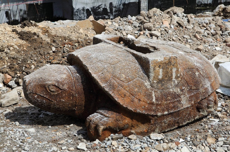 浙江温岭挖掘出巨型石龟 疑是明代驼碑赑屃