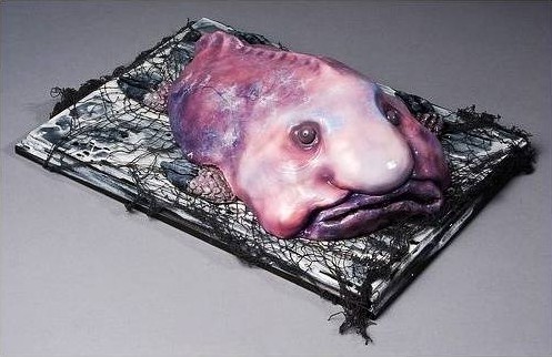 世界上最丑陋最忧伤的鱼--水滴鱼